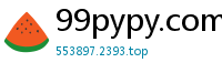 99pypy.com